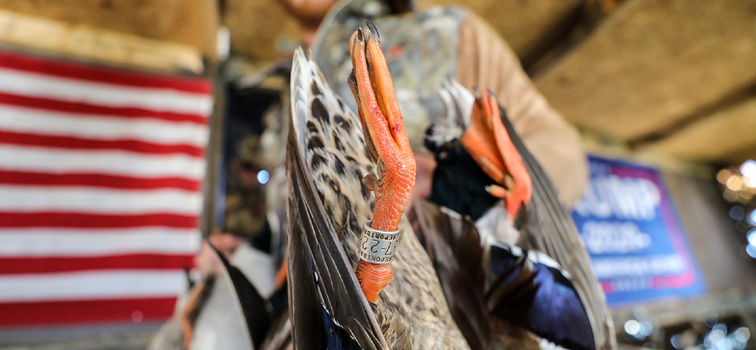 Ready to Elevate Your Hunt?