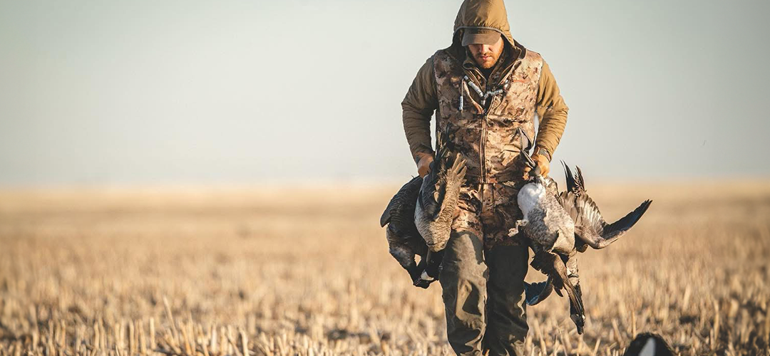 Waterfowl hunter carrying harvested geese through a field – Outdoor hunting gear in action